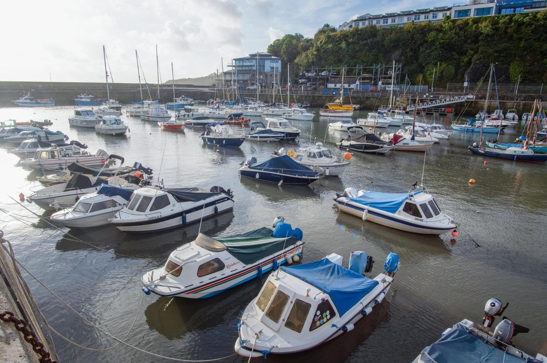 Ocean Cabins No 3 At The Square - Saundersfoot Kamer foto
