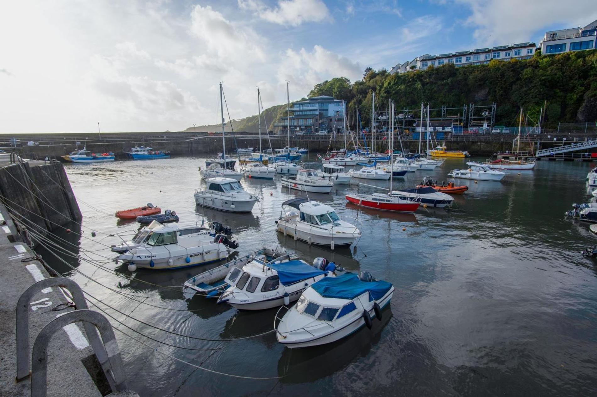 Ocean Cabins No 3 At The Square - Saundersfoot Kamer foto